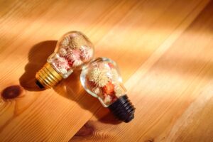 glass, bottle, bulb, dried flower, colorful, general merchandise, light, flower wallpaper, nature, flower background, glitter, accessories, beautiful flowers, flowers